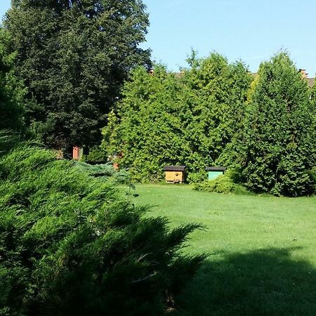 Kwiatowa Zagroda Białowieża 외부 사진