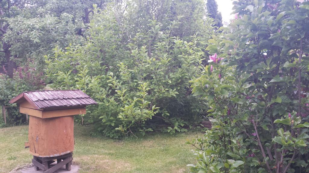 Kwiatowa Zagroda Białowieża 외부 사진