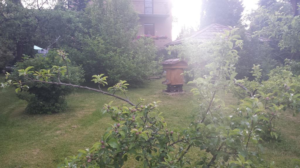 Kwiatowa Zagroda Białowieża 외부 사진