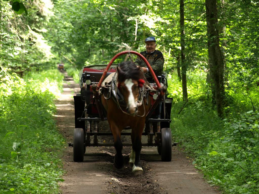 Kwiatowa Zagroda Białowieża 외부 사진