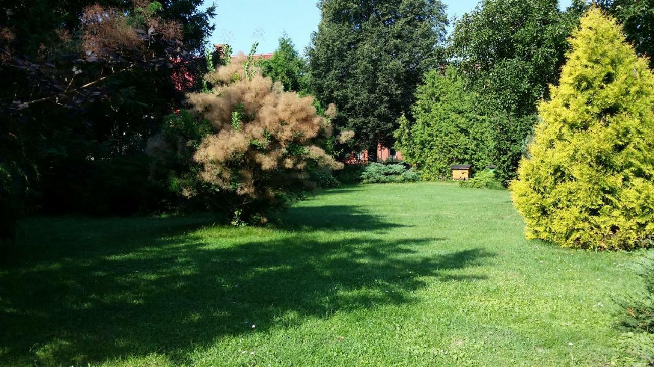 Kwiatowa Zagroda Białowieża 외부 사진